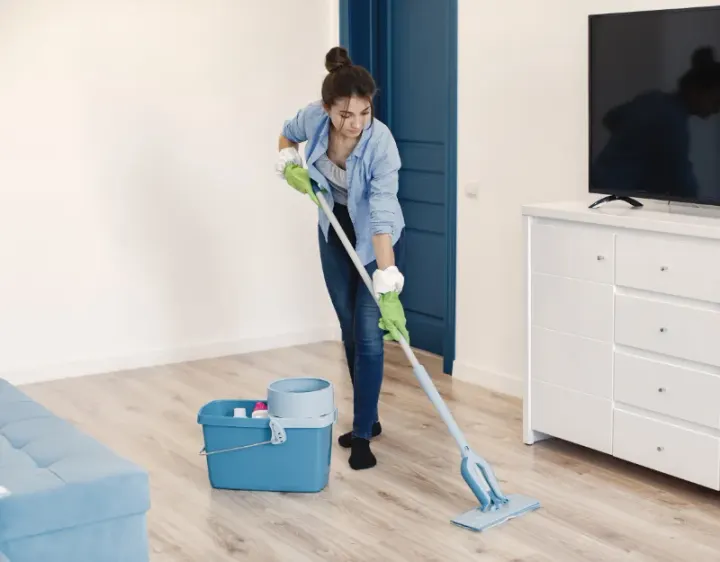 Femme de ménage Codalet